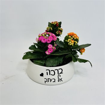 ברכה אל ביתך ניצניות